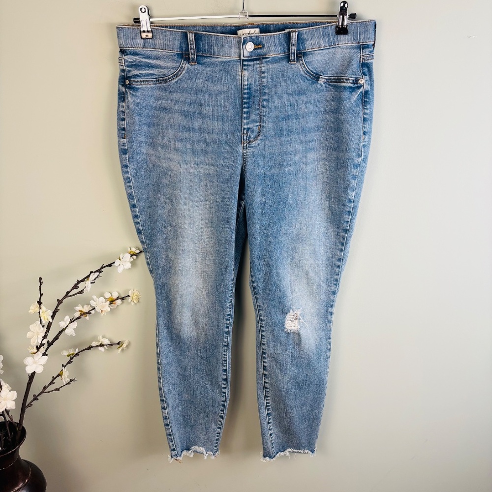Wonderly Distressed Pull On Jegging Size 14
